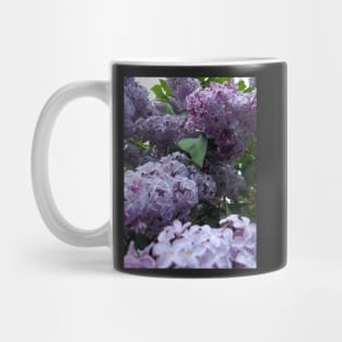 lilac Mug